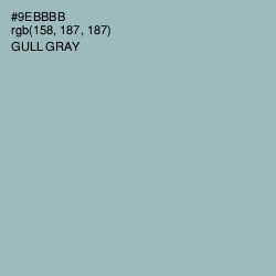 #9EBBBB - Gull Gray Color Image